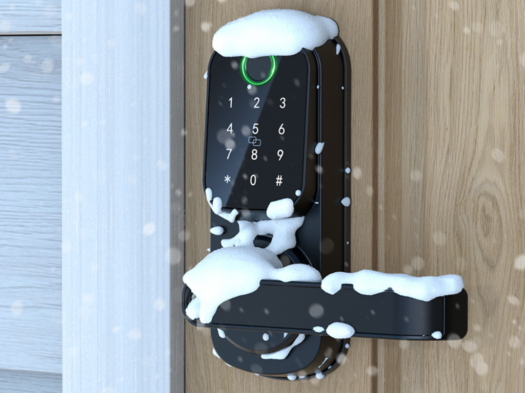 How to Choose the Right Smart Lock for Your Home?
