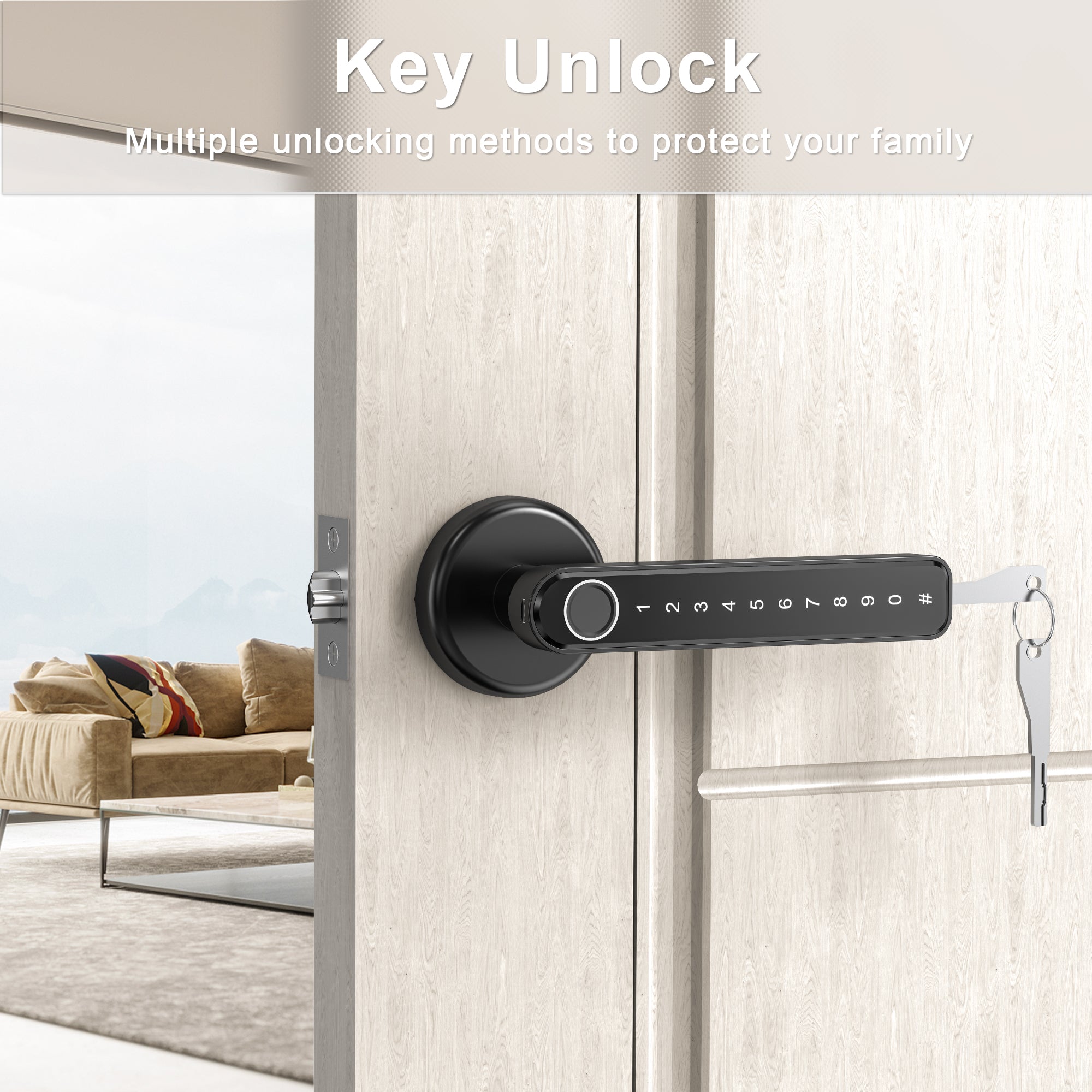 TY190 Fingerprint Door Lock with Smart App/Keyless Entry