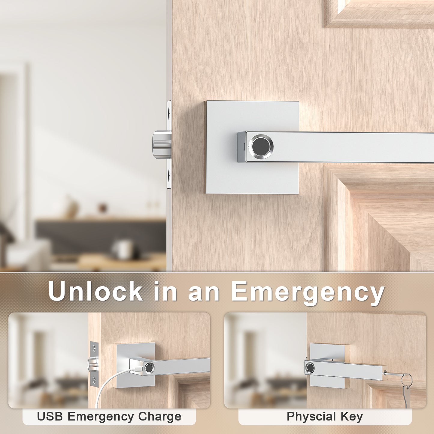 IRONZON Fingerprint Door Lock with Handle Keyless Entry Door Lock Smart Door Lock Silver (TY180S)