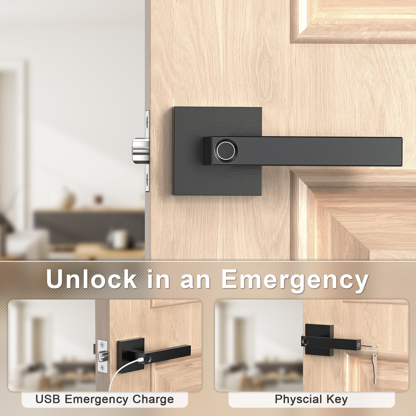 IRONZON Fingerprint Door Lock with Handle Keyless Entry Door Lock Smart Door Lock (TY180B)