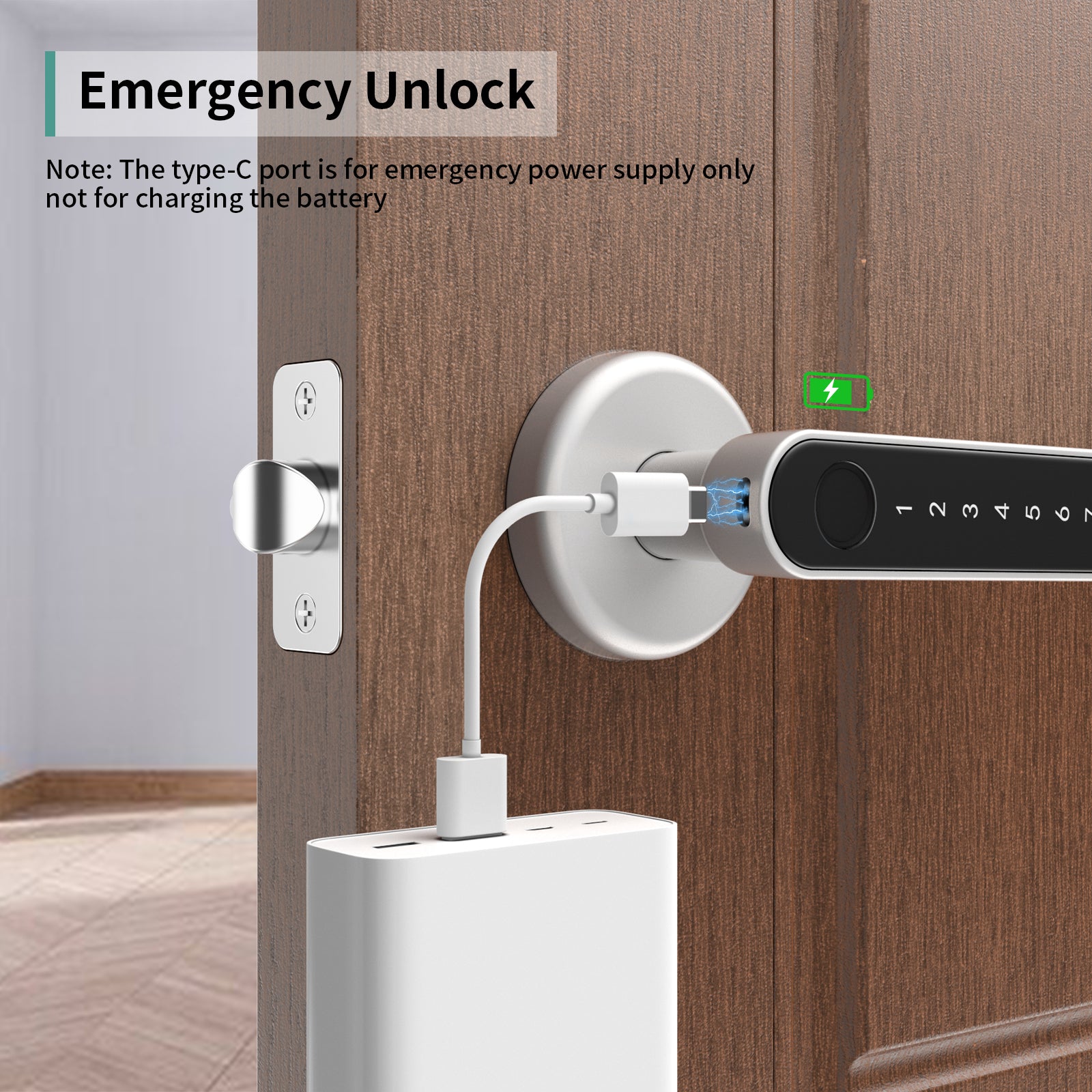 191F Silver Fingerprint Door Lock with Handle Keyless Entry Door Lock