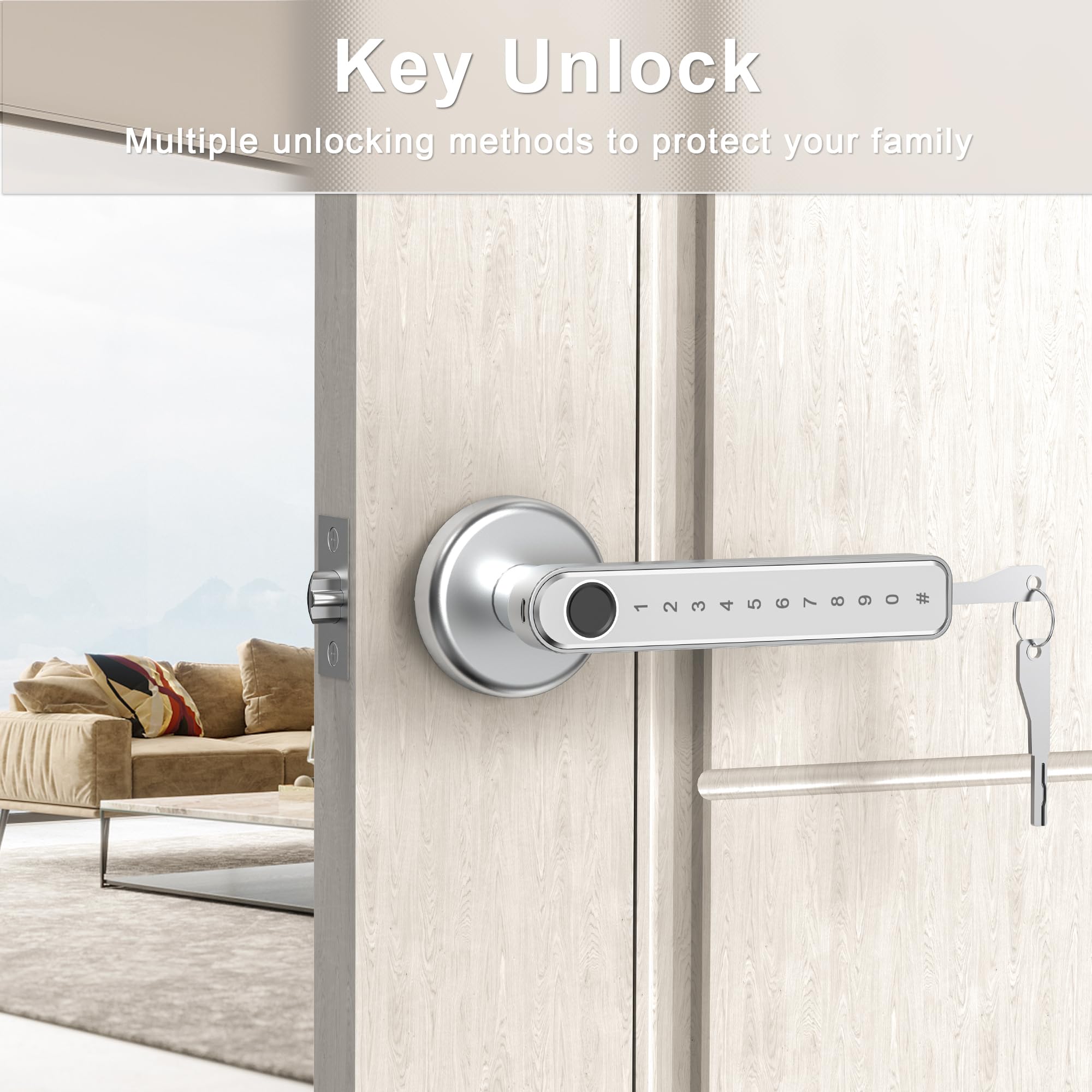 TY190S Fingerprint Door Lock with Smart App/Backup Key/Code/Keyless Entry Silver